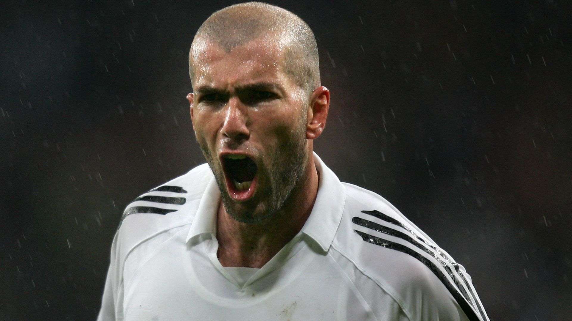 以及这一历 以及这一历