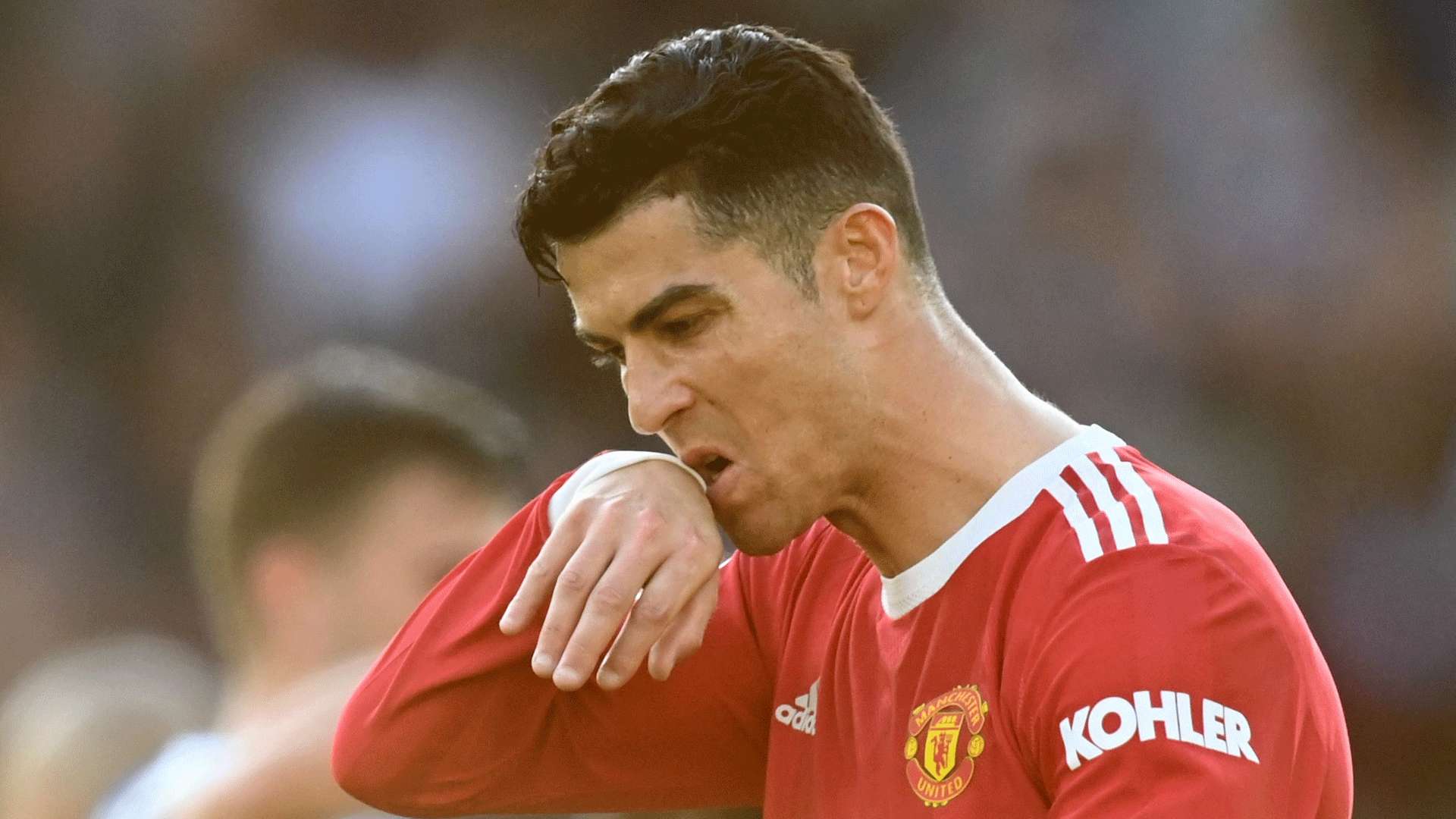 还丰富了用 还丰富了用